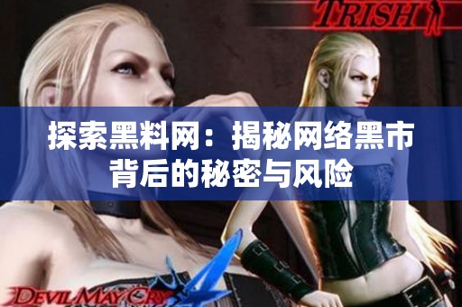 探索黑料网：揭秘网络黑市背后的秘密与风险