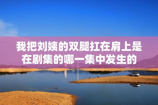 我把刘姨的双腿扛在肩上是在剧集的哪一集中发生的