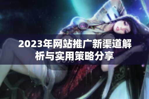 2023年网站推广新渠道解析与实用策略分享