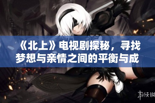 《北上》电视剧探秘，寻找梦想与亲情之间的平衡与成长故事