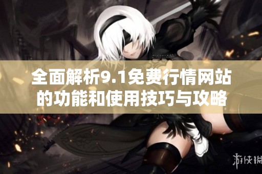 全面解析9.1免费行情网站的功能和使用技巧与攻略