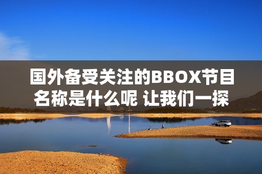 国外备受关注的BBOX节目名称是什么呢 让我们一探究竟