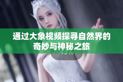 通过大象视频探寻自然界的奇妙与神秘之旅