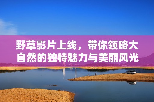 野草影片上线，带你领略大自然的独特魅力与美丽风光