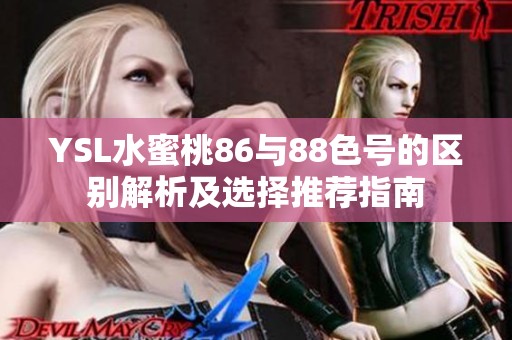 YSL水蜜桃86与88色号的区别解析及选择推荐指南