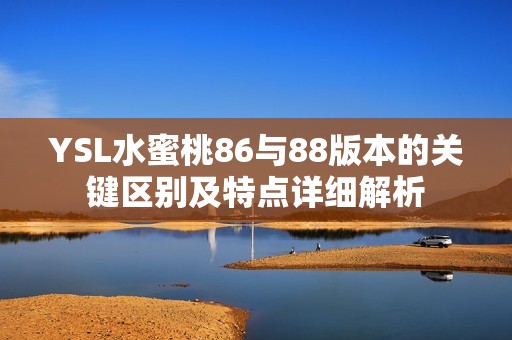 YSL水蜜桃86与88版本的关键区别及特点详细解析
