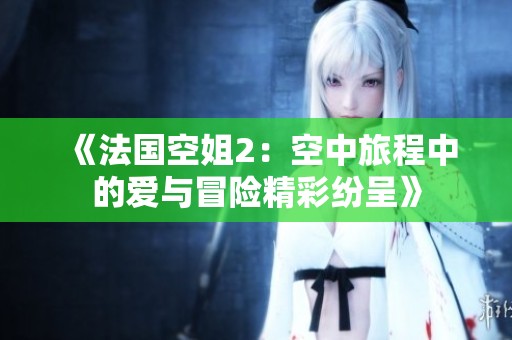 《法国空姐2：空中旅程中的爱与冒险精彩纷呈》