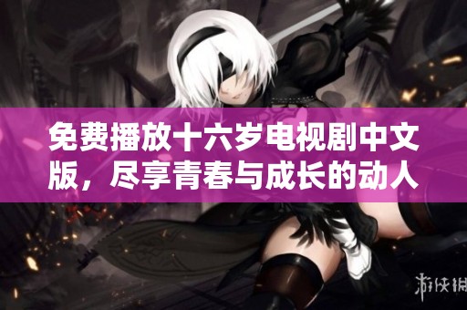 免费播放十六岁电视剧中文版，尽享青春与成长的动人故事