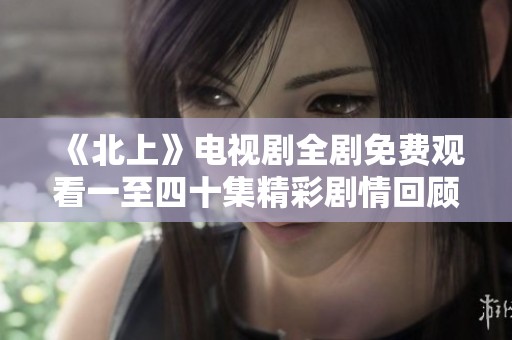 《北上》电视剧全剧免费观看一至四十集精彩剧情回顾与分析